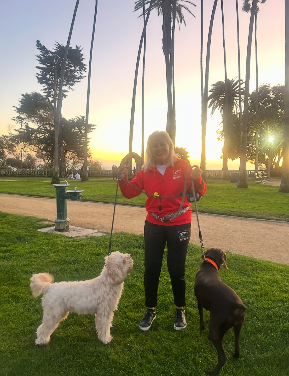 Jann Meyers smiling with two dogs on leashes at golden hour in a palm-lined Santa Monica park.